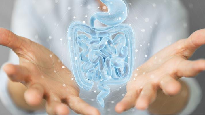 Microbiota intestinal: un posible indicador temprano de Alzheimer