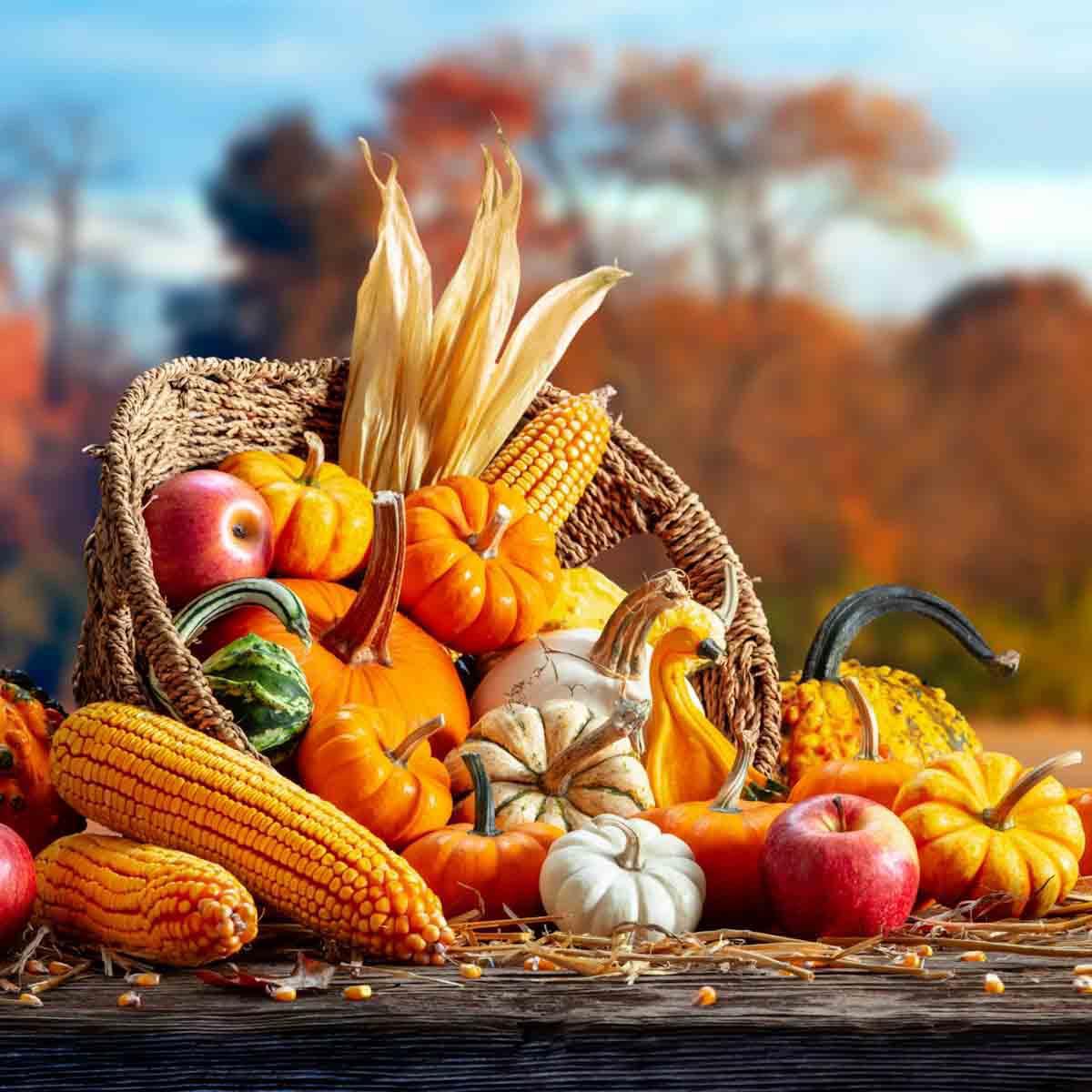 Feliz Día de Acción de Gracias