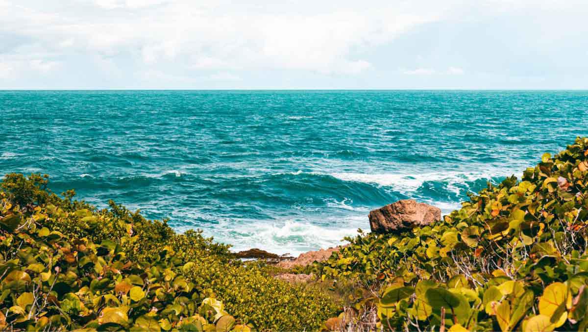 Celebra Presidents Day Conectando con la Naturaleza