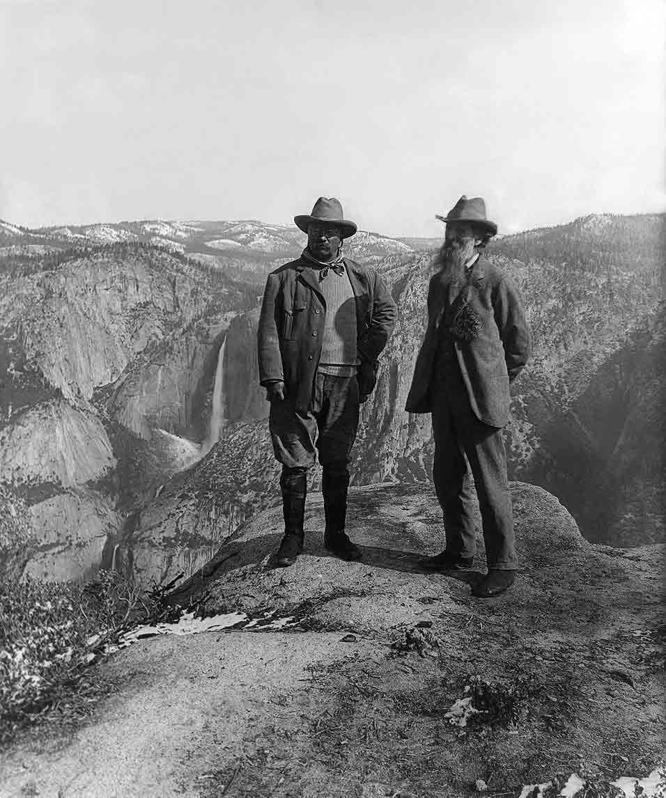 Theodore Roosevelt: El Presidente que protegió 230 Millones de Acres de tierras públicas 