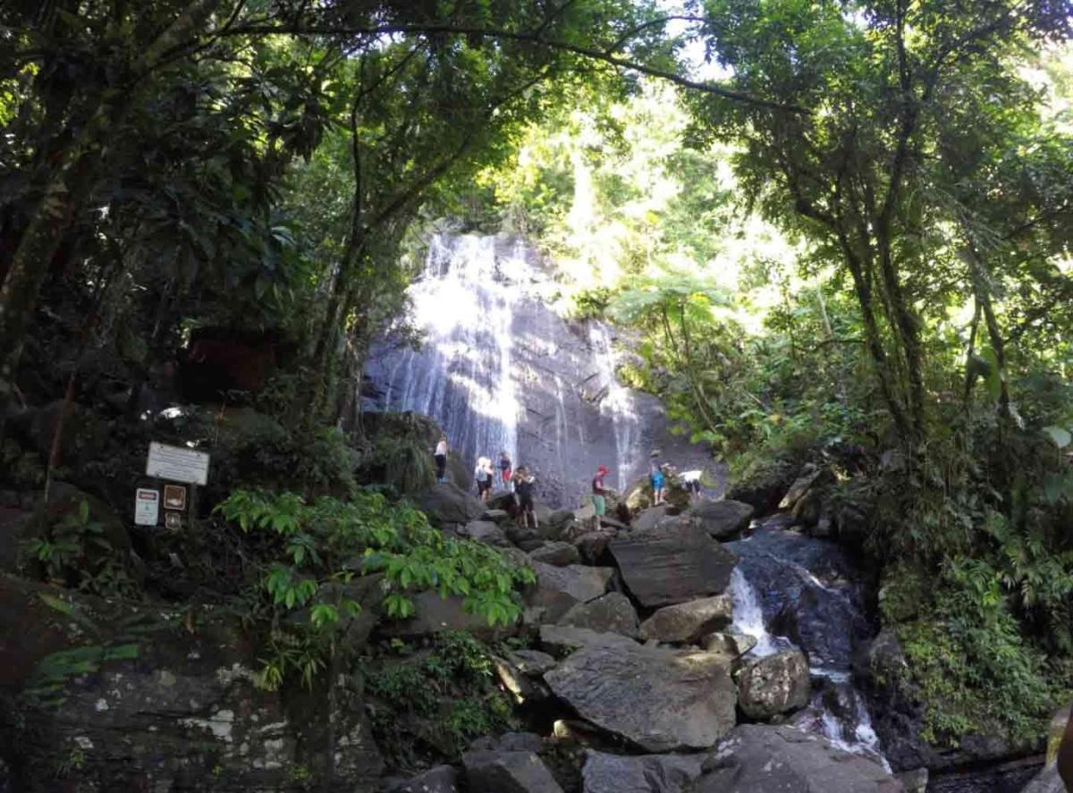 Día Internacional de los Bosques 2025