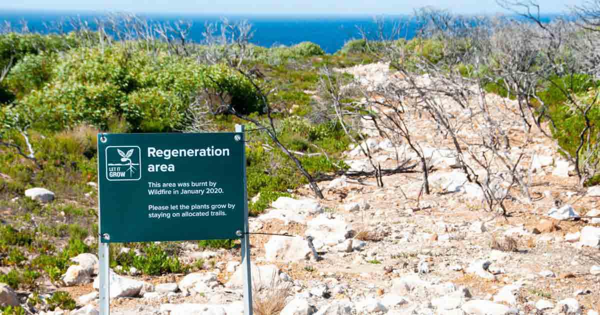 La Renovación de Playas, una solución costera con sus matices