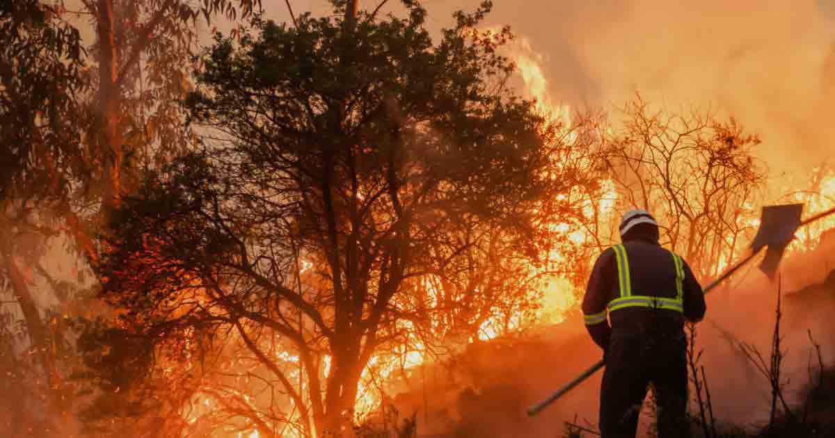 Día 1: Incendios Forestales y la Calidad del Aire Día 1: Incendios Forestales y la Calidad del Aire