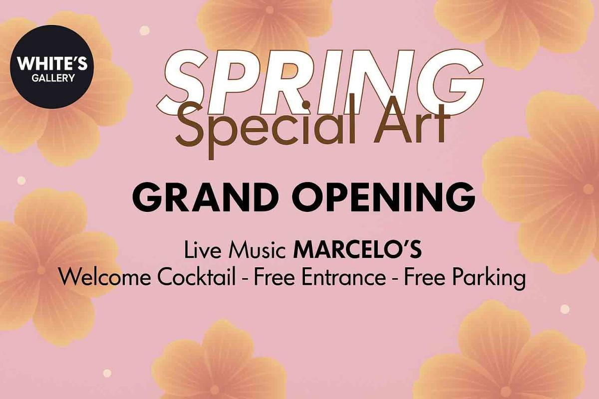 Ronald Rodríguez presenta sus nuevos libros en la inauguración de “Spring Special Art”