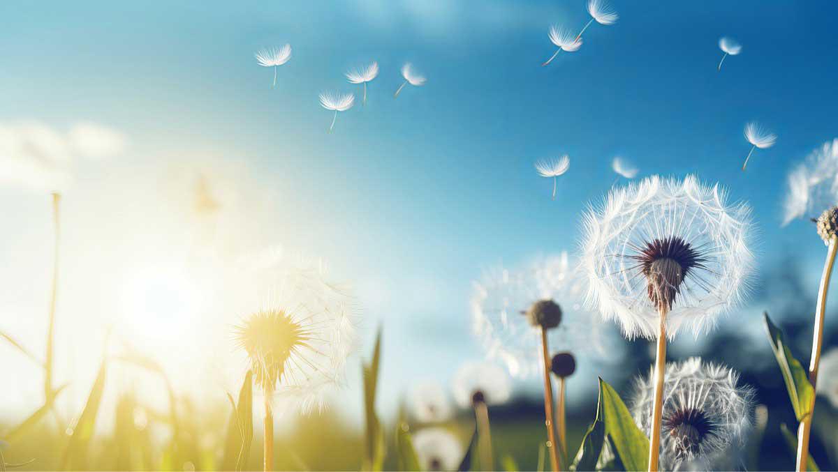 ¿Y si no necesitas tanto? 3 claves para dejar ir sin sentir culpa ¿Y si no necesitas tanto? 3 claves para dejar ir sin sentir culpa