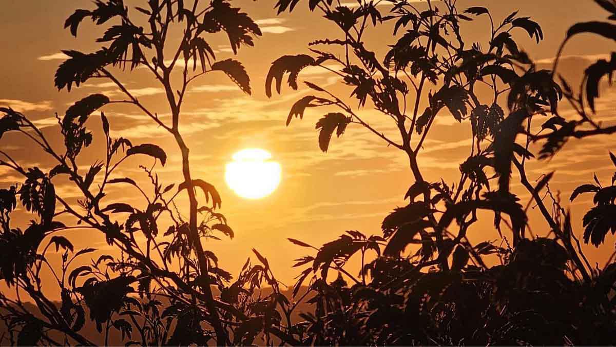 Celebra el Solsticio de Verano anclando una 'brújula solar'