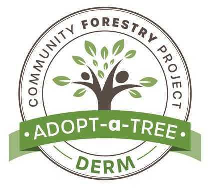 ¡Pre-inscríbete y ahorra tiempo para adoptar árboles en Adopt-a-Tree!