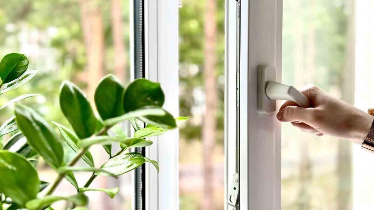 Protege tu hogar y tu salud en temporada de calor extremo y lluvias intensas
