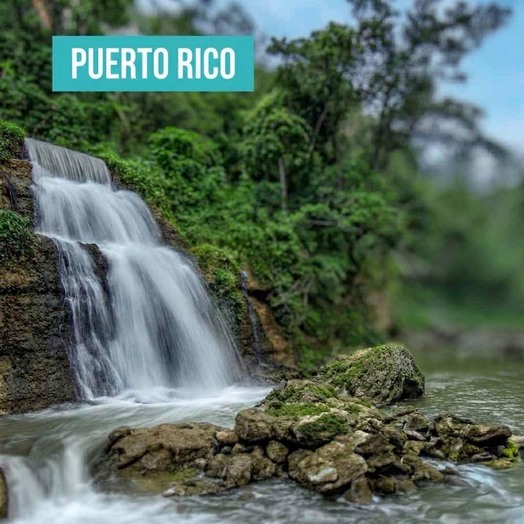 Festival Tierra, Agua y Vida en Arecibo: Arte Comunitario