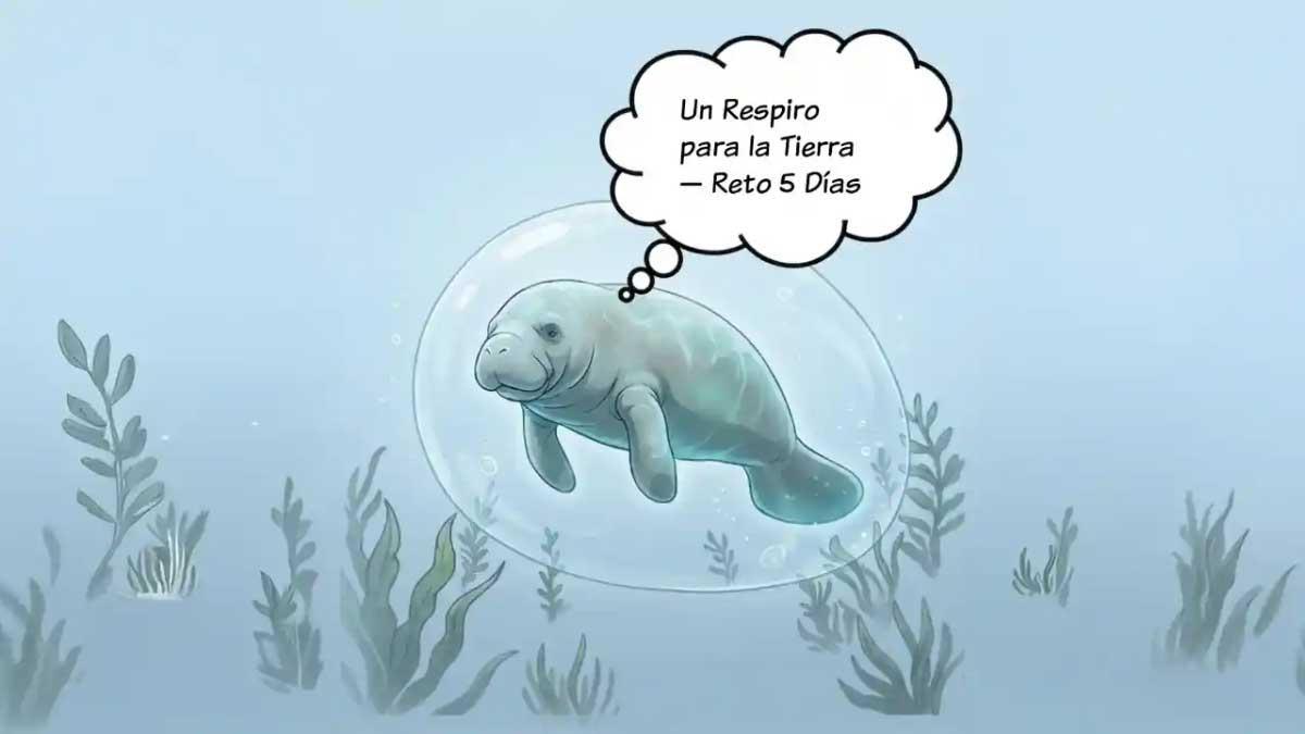 Un Respiro para la Tierra — Reto 5 Días