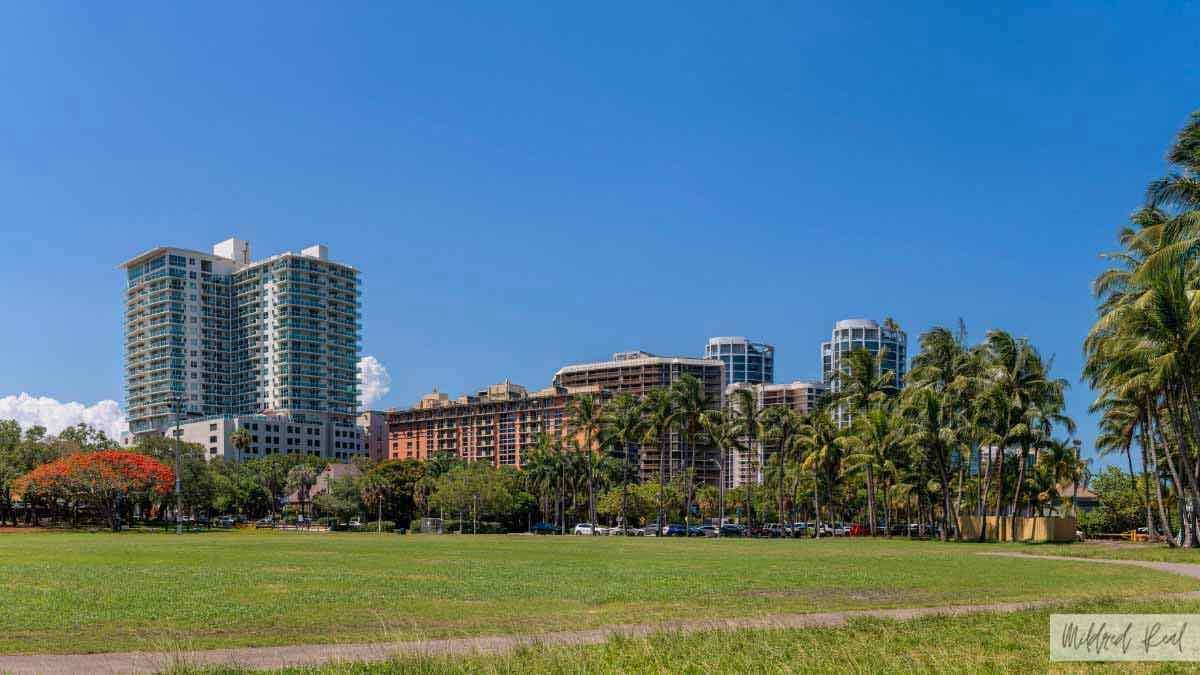 Manos a la obra en Peacock Park: Cuidando Coconut Grove