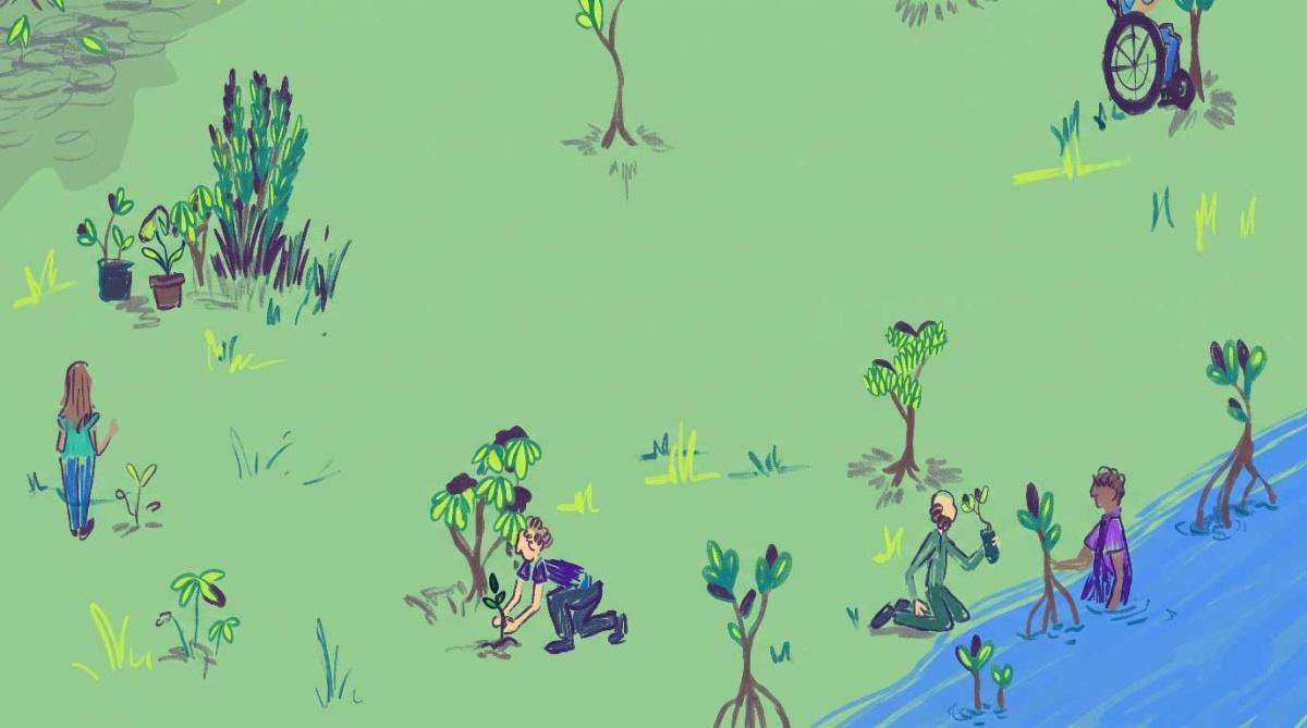 La Siembra 2026: un árbol para comenzar a transformar tu entorno
