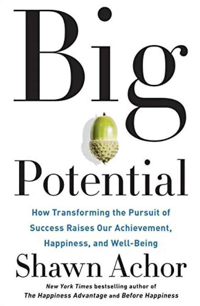 Big Potential: How Transforming the Pursuit of Success Raises Our Achievement, Happiness, and Well-Being