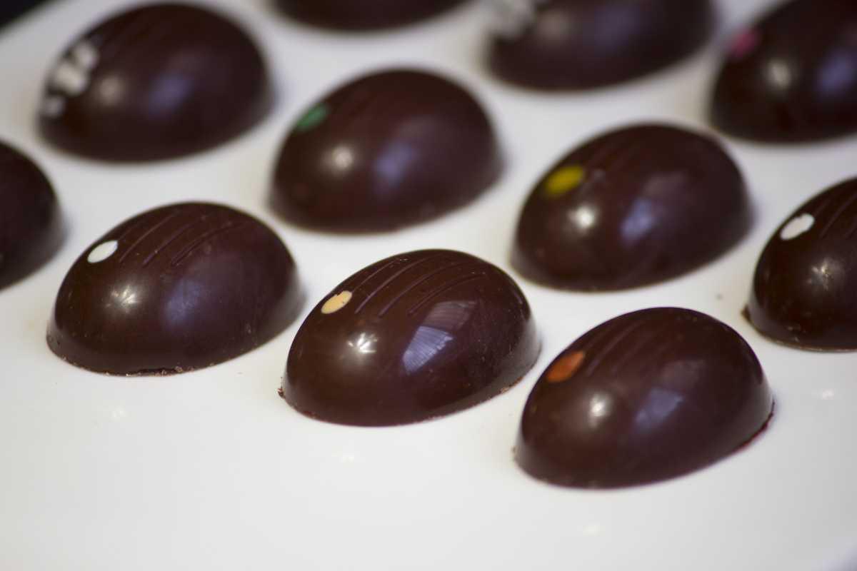 Cata Chocolates Lúdico