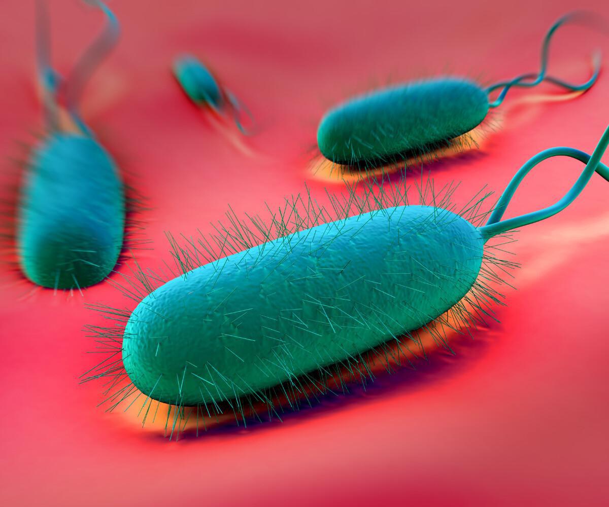 Breath Test per Helicobacter Pylori