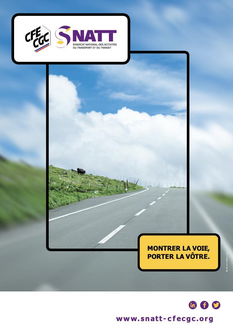 Affiches du SNATT 