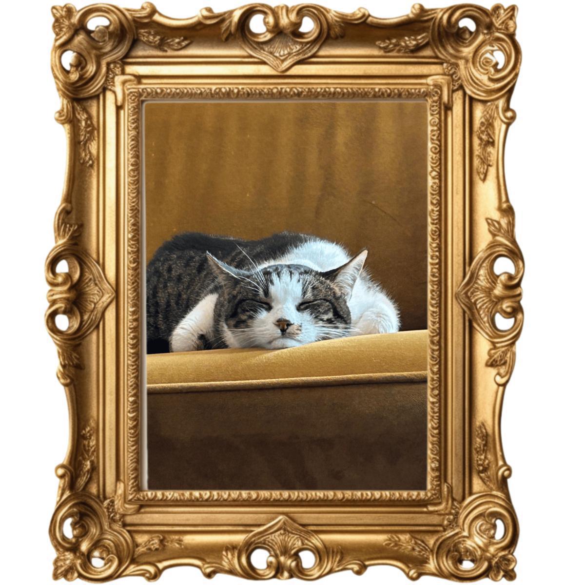 Dit is die van ons! Heb jij ook een lievelingsdier? Dit is die van ons! Heb jij ook een lievelingsdier?