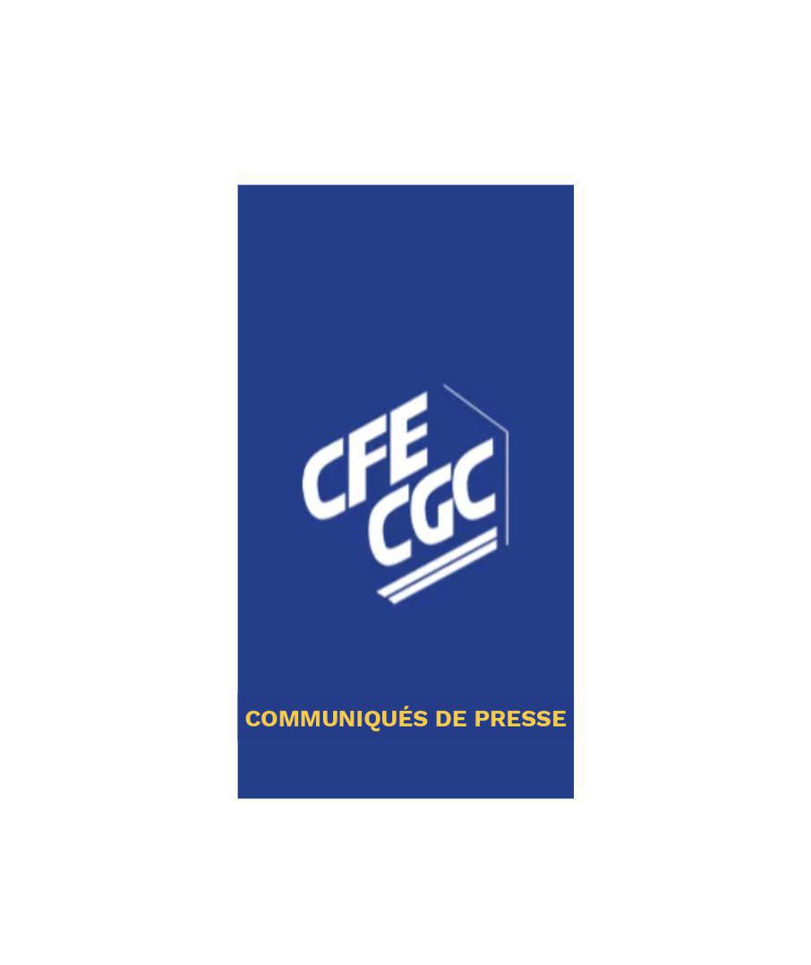 CFE-CGC - Soutien à l’Agefiph et inquiétudes face à la réduction de son budget. CFE-CGC - Soutien à l’Agefiph et inquiétudes face à la réduction de son budget.