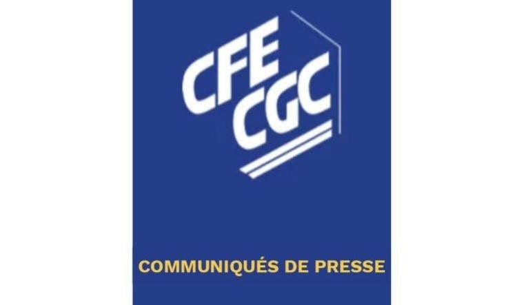 CFE-CGC - Déclaration commune des organisations syndicales et patronales à l’intention des responsables politiques