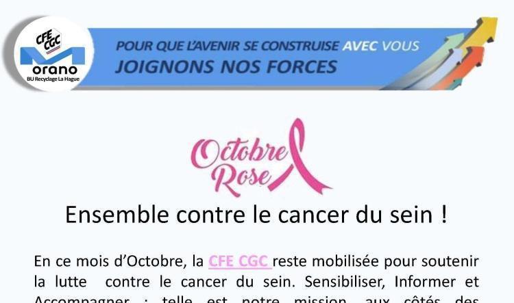 LA HAGUE : OCTOBRE ROSE