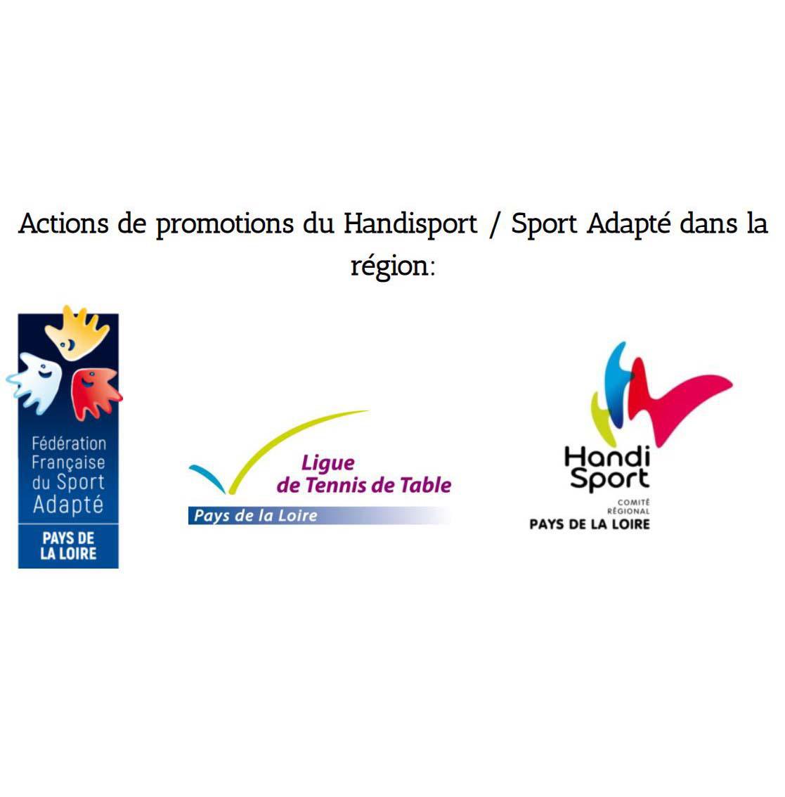 Développement du sport adapté dans les clubs