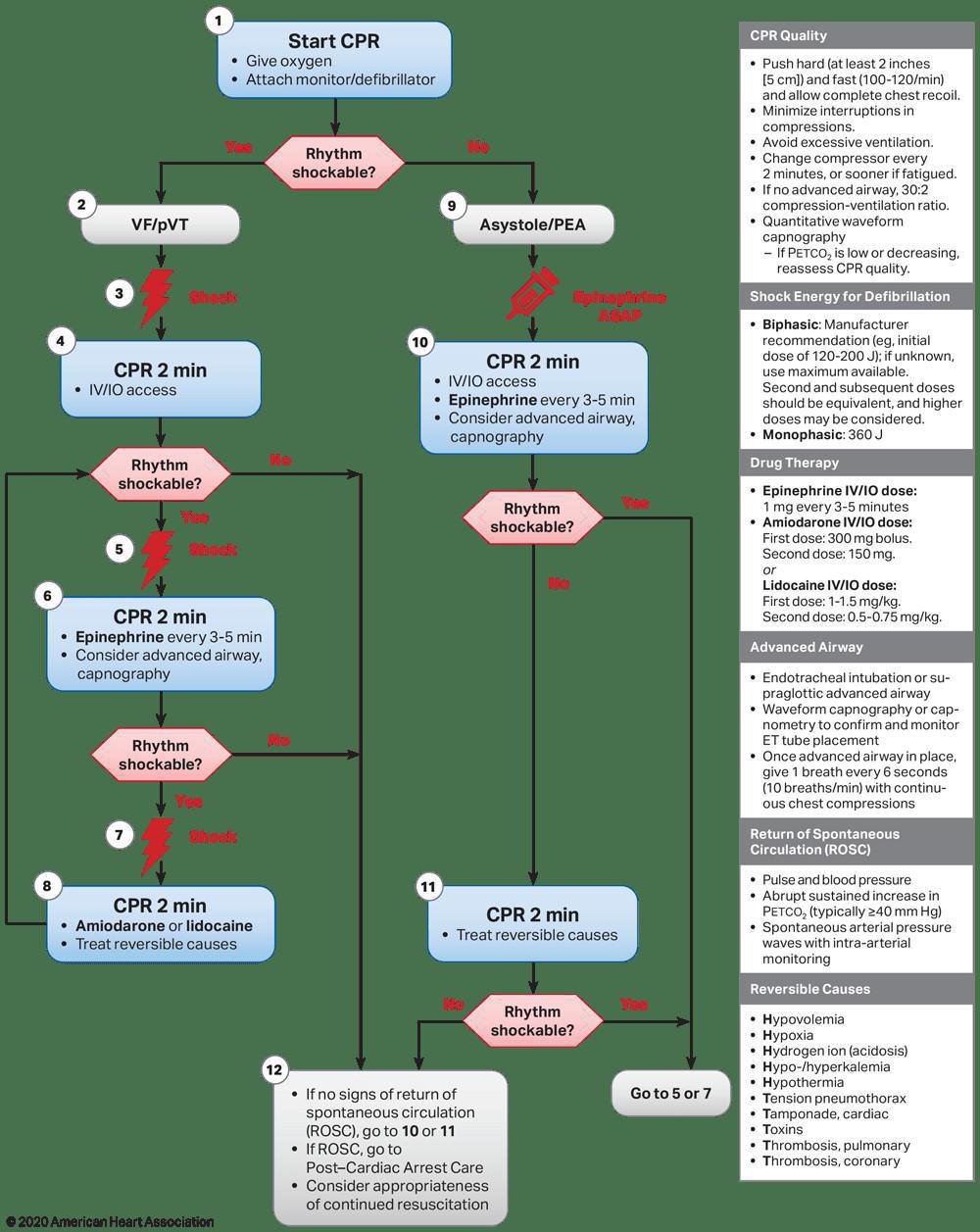 02. Adult Cardiac Arrest Algorithm (ACLS)