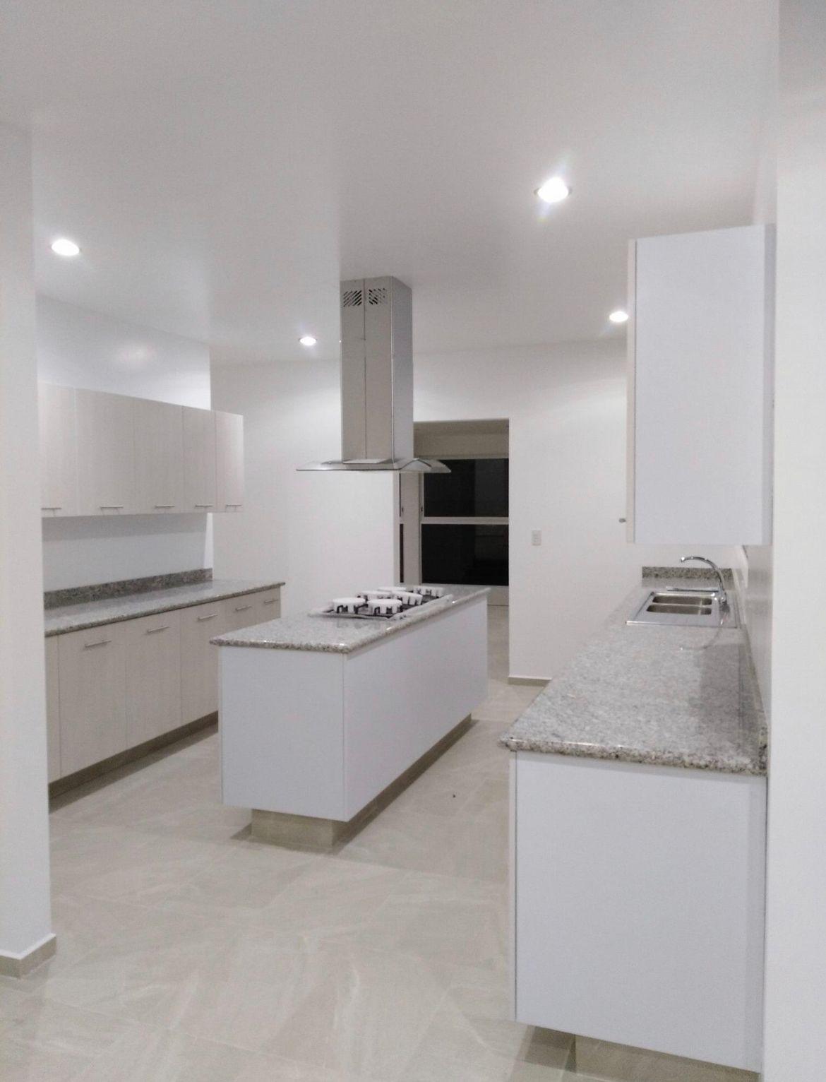 Condado de Sayavedra Cheviot Condado de Sayavedra Cheviot