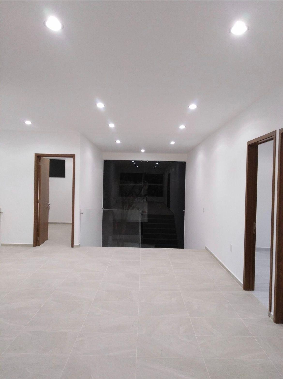 Condado de Sayavedra Cheviot Condado de Sayavedra Cheviot