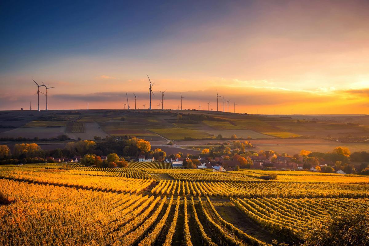 Finance durable : la mesure du risque climatique, premier défi des banques souhaitant opérer leur transition écologique Finance durable : la mesure du risque climatique, premier défi des banques souhaitant opérer leur transition écologique