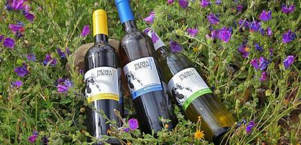 Piedra Jurada Piedra Jurada