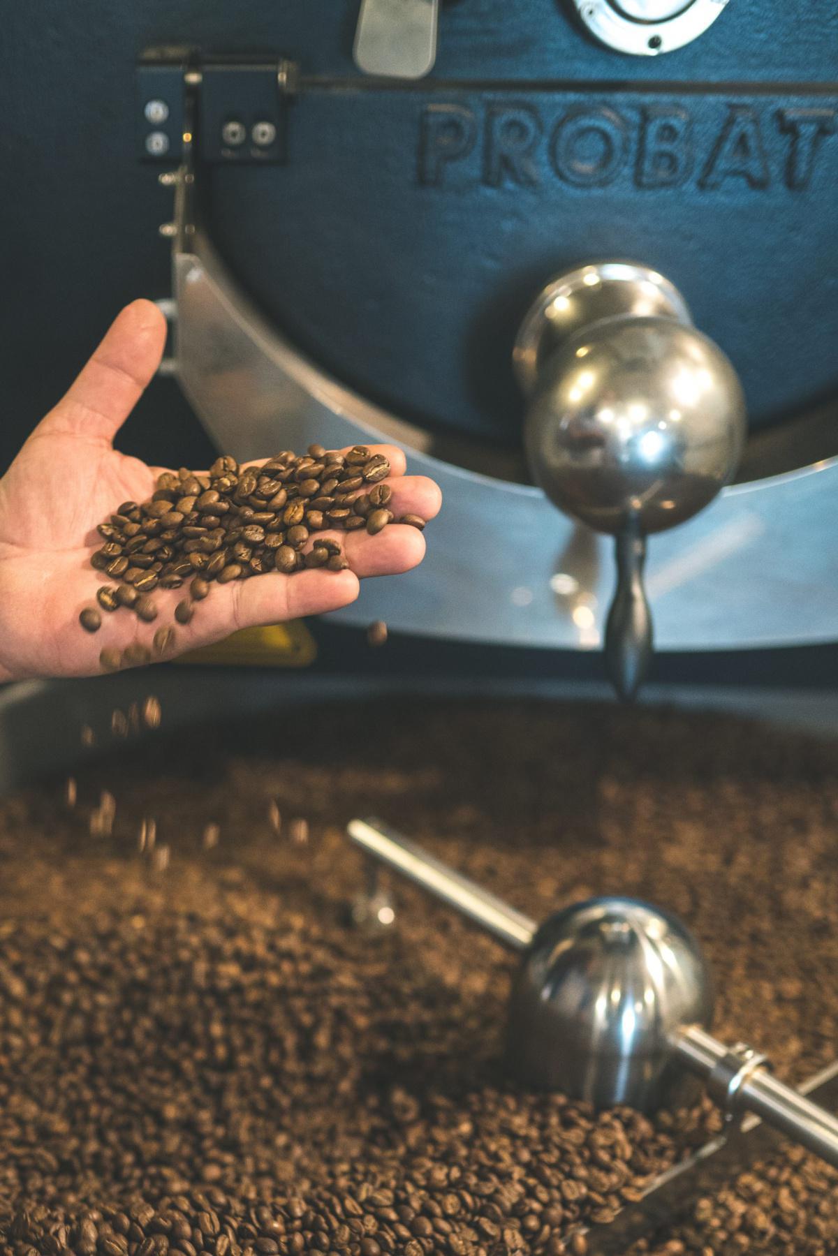 Chanchamayo Descafeinado Chanchamayo Descafeinado