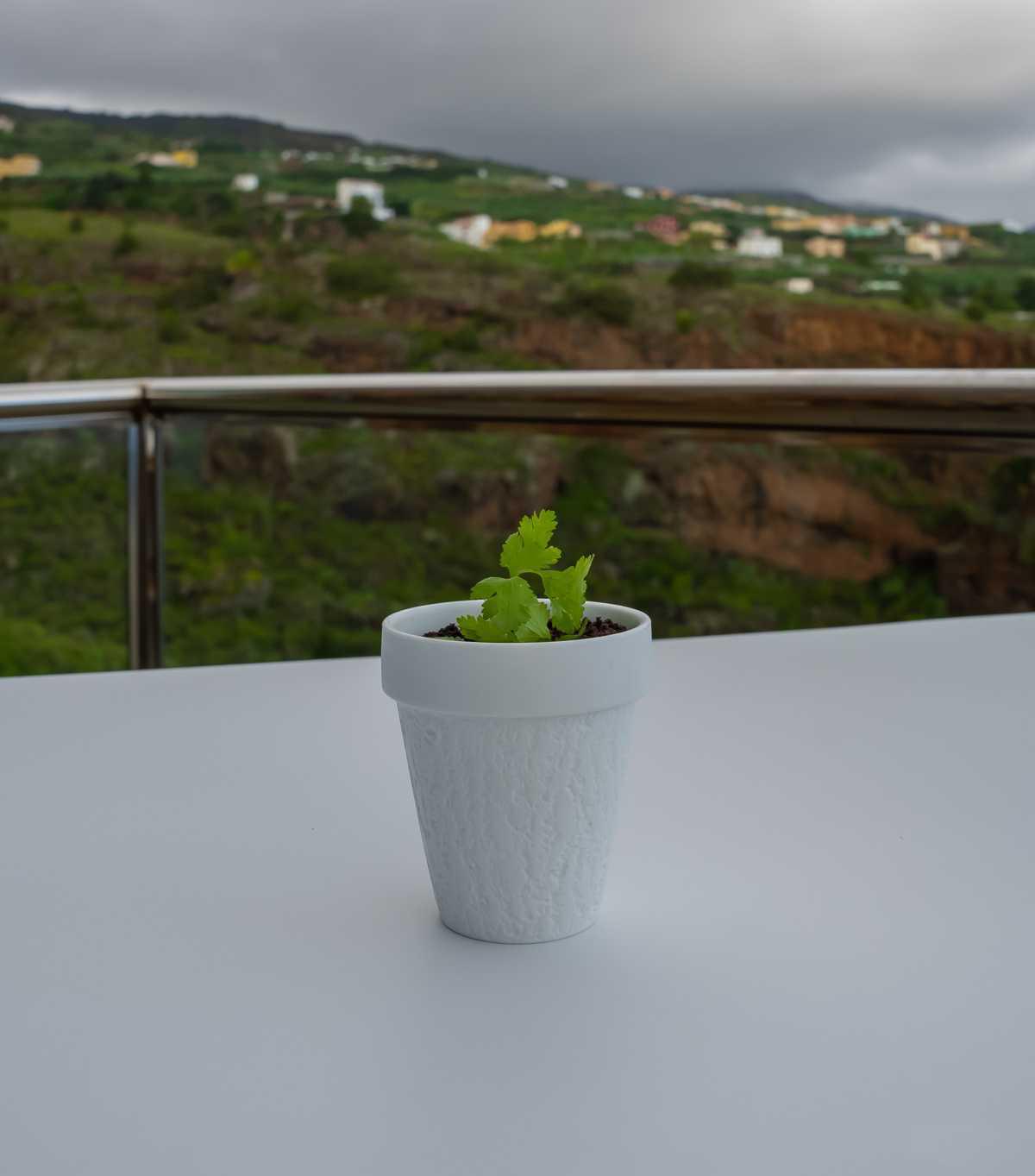Mousse De Chocolate Blanco Mousse De Chocolate Blanco