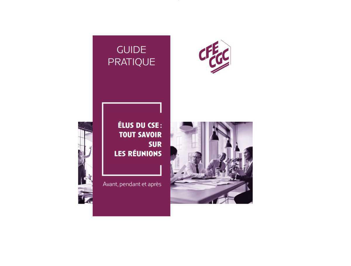 GUIDE CSE N°1 GUIDE CSE N°1