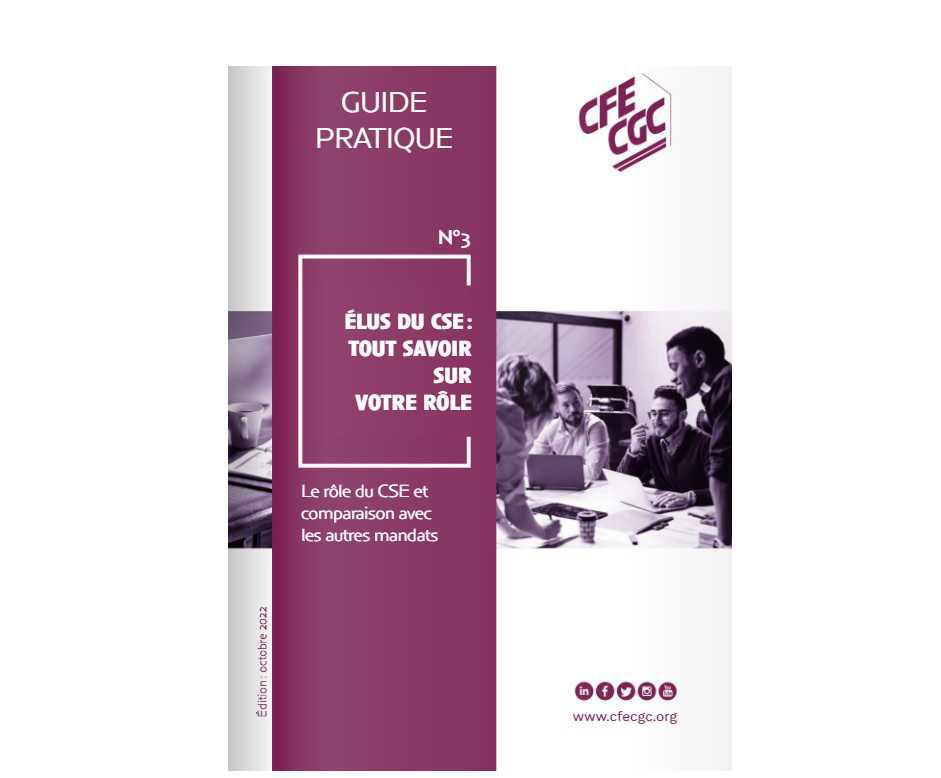 GUIDE CSE N°3 GUIDE CSE N°3