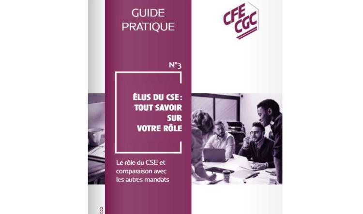 GUIDE CSE N°3
