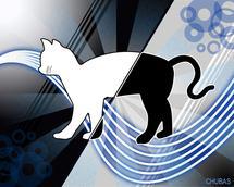 El gato de Schrödinger. Chubas.