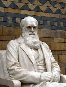 Darwin en el Museo de Historia Natural de Londres. Foto: Patche99z. Wikipedia.