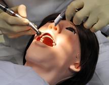 Crean un robot para que los futuros dentistas aprendan su oficio