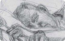 Imagen: Susan Coward. Fuente: Universidad de Victoria.