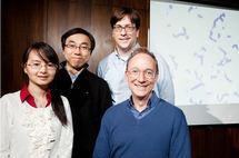 Parte del equipo de ingenieros, investigadores y estudiantes que han dado el primer paso para el desarrollo de nuevos materiales inteligentes. Imagen: L. Brian Stauffer.