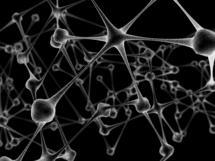 Red de neuronas. Imagen: gerard79. Fuente: stock.xchng.