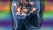 El amor y el deseo activan áreas cerebrales específicas, aunque relacionadas. Fuente: Universidad de Concordia.