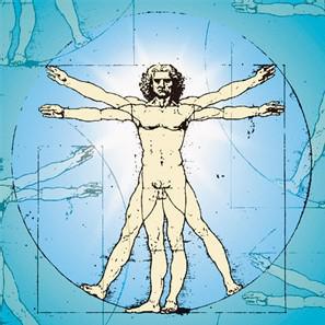 El cuerpo humano, un sistema complejo