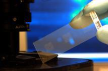 Un biochip es un dispositivo a pequeña escala, análogo a un circuito integrado, ensamblado o usado para analizar moléculas orgánicas asociadas con los organismos vivientes. Fuente: Wikimedia Commons.