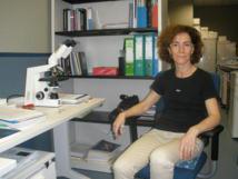 La doctora Carmen Sáez Torres lidera la investigación sobre taxanos. Imagen: Fundación Descubre. Fuente: SINC.