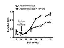 Gráfico del crecimiento de los roedores.