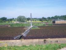 Los cambios del tipo de cultivo hacen que las previsiones de demanda aumenten. Imagen: Wraggy78.