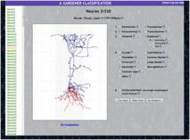 Página web en la que los científicos realizaron el test sobre las neuronas. Fuente: UPM.