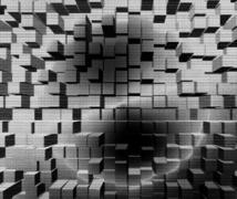 Ampliar y segmentar son dos de las principales funciones del tratamiento de imágenes digitales. Imagen: Zbigniew Nowak. Fuente: PhotoXpress.