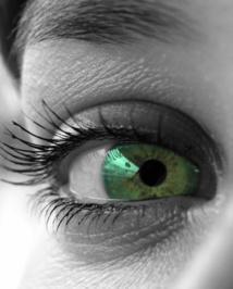 Imagen: .shock. Fuente: PhotoXpress.